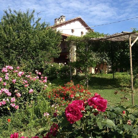 Casa Isabella Guest House Vaglio Serra Eksteriør bilde